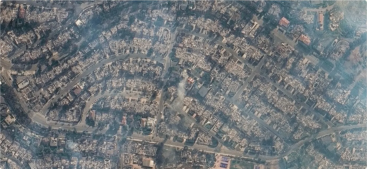 An aerial photograph of a Los Angeles residential neighborhood after a wildfire. The curved street layout and driveways are intact, but almost every house between them has burned down to a grey footprint, with smoke still rising in places.